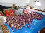 onions.JPG (205 KB)